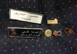 بژ سینه